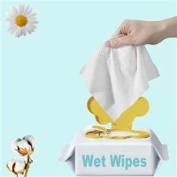 Multi Purpose Wet Wipes