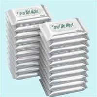 Travel Size Flushable Wipes